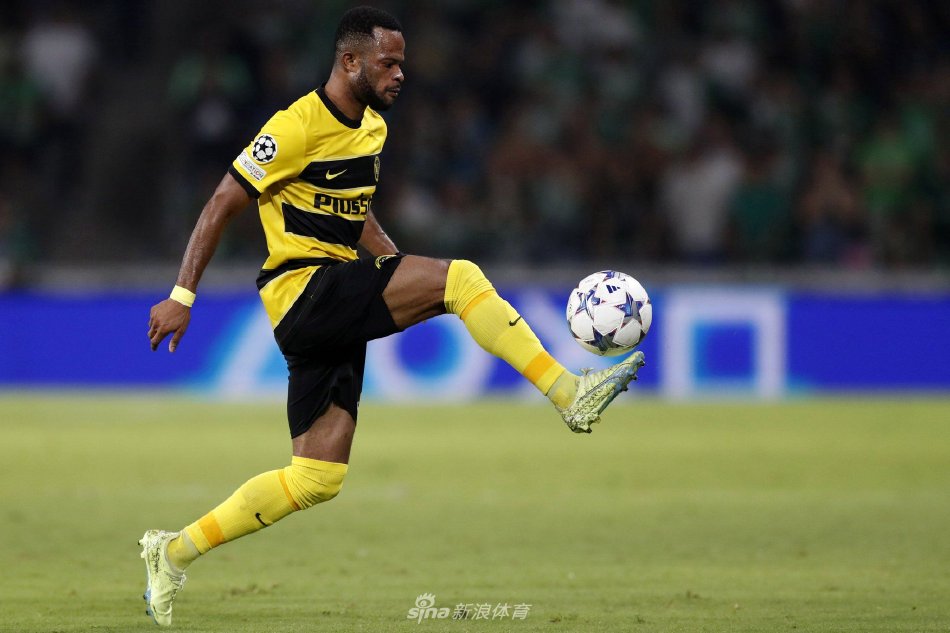 扬迪罗巴是 扬迪罗巴是